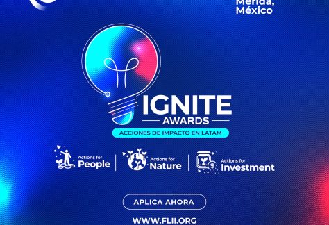 Ignite Awards 2025