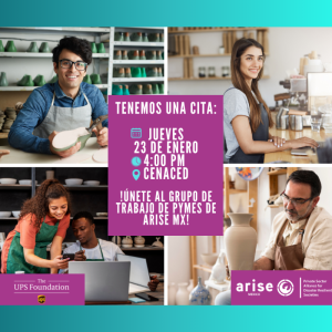 Primera sesión del grupo de trabajo de Pymes de ARISE