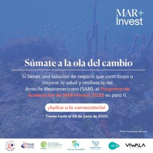MAR+Invest Acceleration Programme