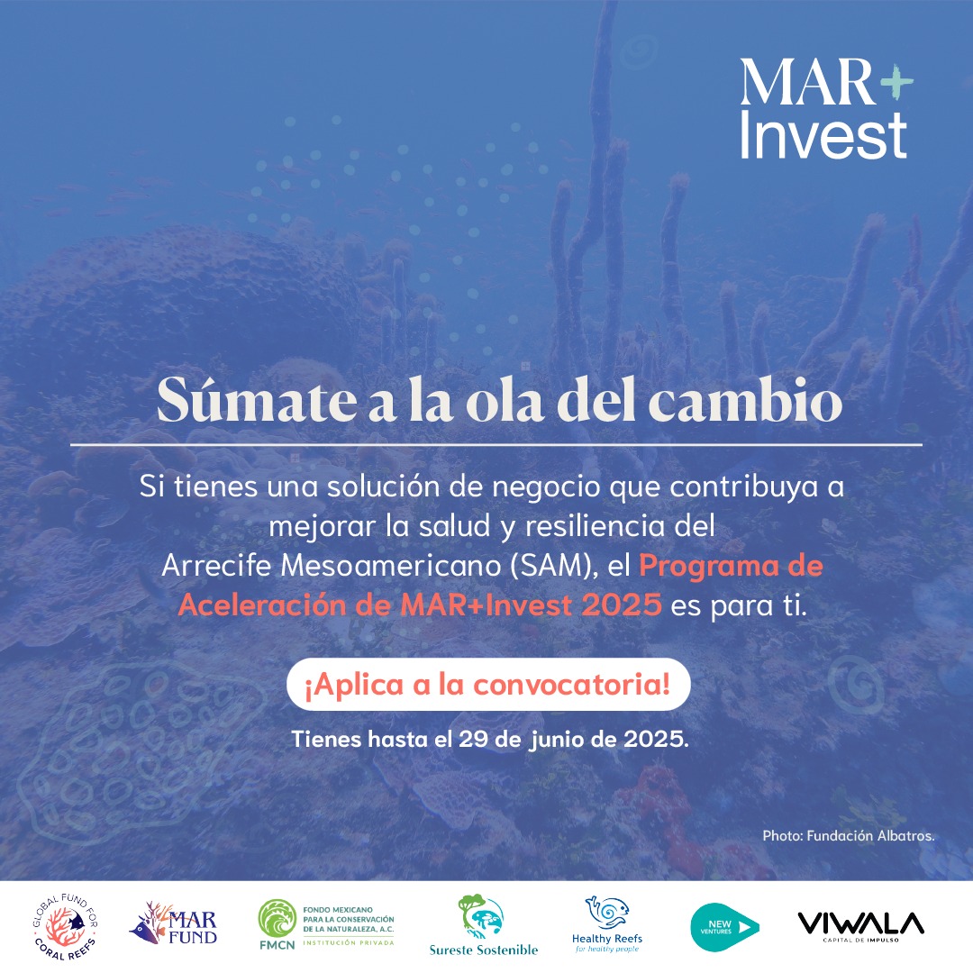 MAR+Invest Acceleration Programme
