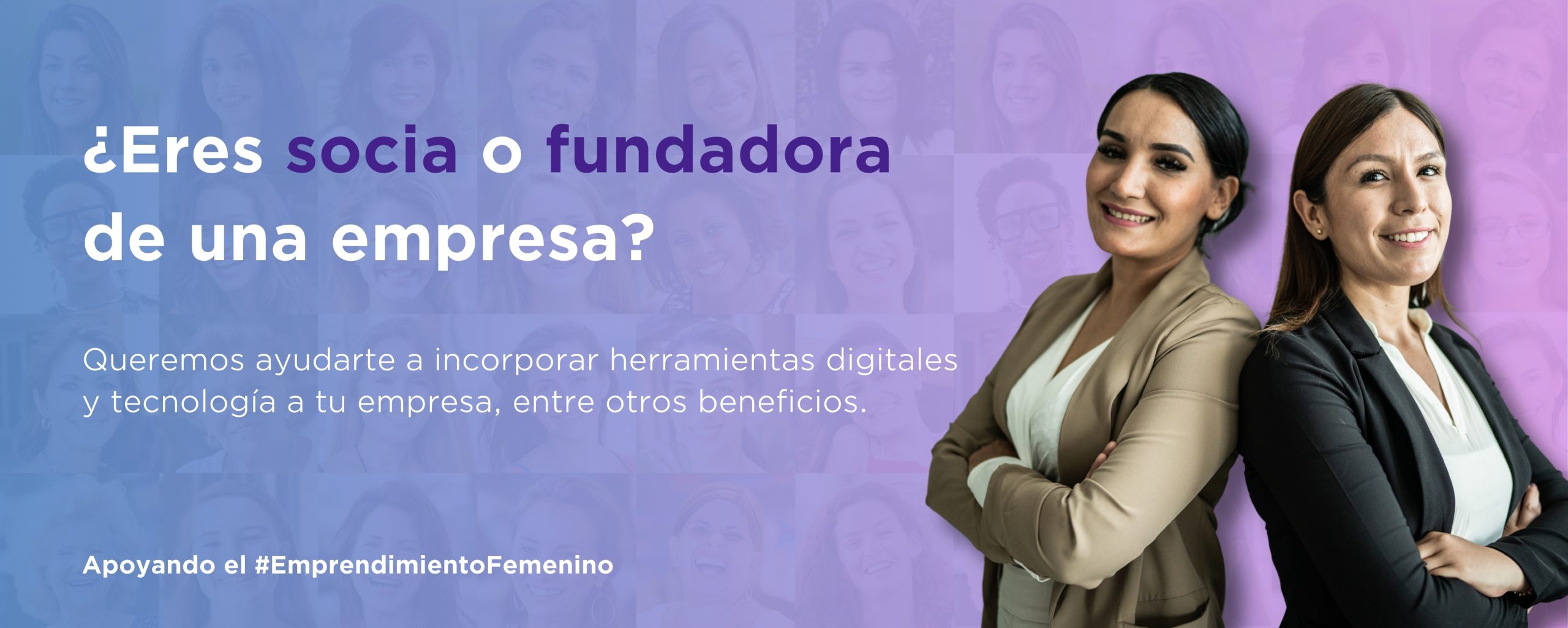 Banners membresías