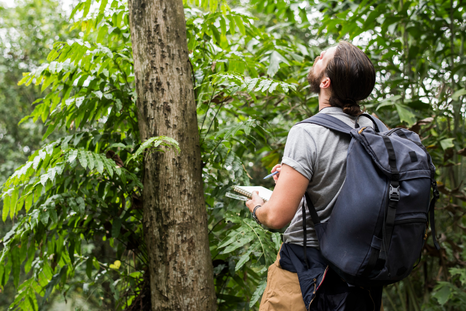 Hombre observa la naturaleza y hace anotaciones en un cuaderno, como parte de sus pasiones, de donde puede nacer una idea de emprendimiento personal.
