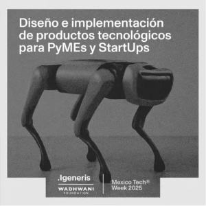 Diseño e Implementación de Productos Tecnológicos para PyMEs y StartUps